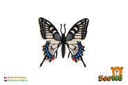 Motl tropick Papilio/otakrek fenyklov zooted plast 8cm v sku