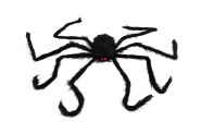 Pavouk velk ply 125x8cm v sku 22x24x7cm karneval