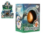 Vajcia liahnuce a rastce dinosaurus 6cm v krabike 8x11x5, 5cm v 12 ks v boxe