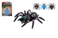 Pavouk lezouc po skle plast 8cm 3 barvy na kart