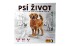 Ps ivot spoloensk hra v krabici 29x30x7cm