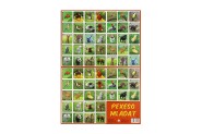 Pexeso Mláďatá papierové spoločenská hra 32 obrázkových dvojíc 24,5x34,5cm