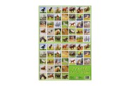 Pexeso Život koní papierové spoločenská hra 32 obrázkových dvojíc 24,5x34,5cm