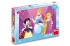 Puzzle Disney Odvne princezn 24 dielikov 26x18cm v krabici 27x19x4cm