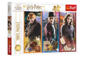 Puzzle Vo svete mgie a arodejnctva/Harry Potter 200 dielikov 48x34cm v krabici 33x23x4cm