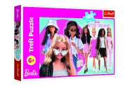 Puzzle Barbie a jej svt 41x27,5cm 160 dlk v krabici 29x19x4cm