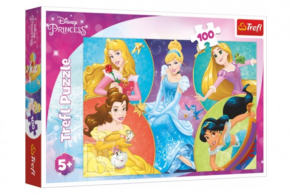 Puzzle Poznejte sladké princezny/Disney Princess 100 dílků 41x27,5cm v krabici 29x19x4cm