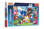 Puzzle Zoznmte sa so Sonicom/Sonic the Hedgehog 100 dielikov 41x27,5cm v krabici 29x19x4cm