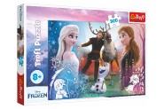 Puzzle Ledové království/Frozen 300dílků 60x40cm v krabici 40x27x4cm