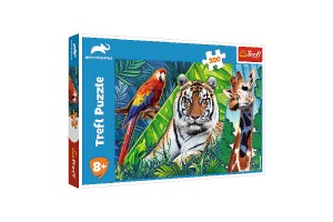 Puzzle ڞasn zvierat 300dielikov 60x40cm v krabici 40x27x4,5cm