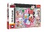 Puzzle Minnie a Daisy/Disney 60x40cm 260 dlk v krabici 40x26x4,5cm