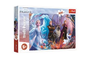 Puzzle adov krovstvo II / Frozen II 100 dielikov 41x27,5cm v krabici 29x19x4cm