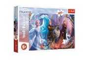 Puzzle Ledov krlovstv II/Frozen II 100 dlk 41x27,5cm v krabici 29x19x4cm